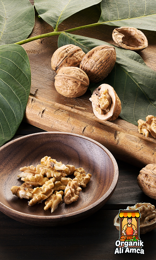 Organik Ali Amca - RESİMLER - 53
